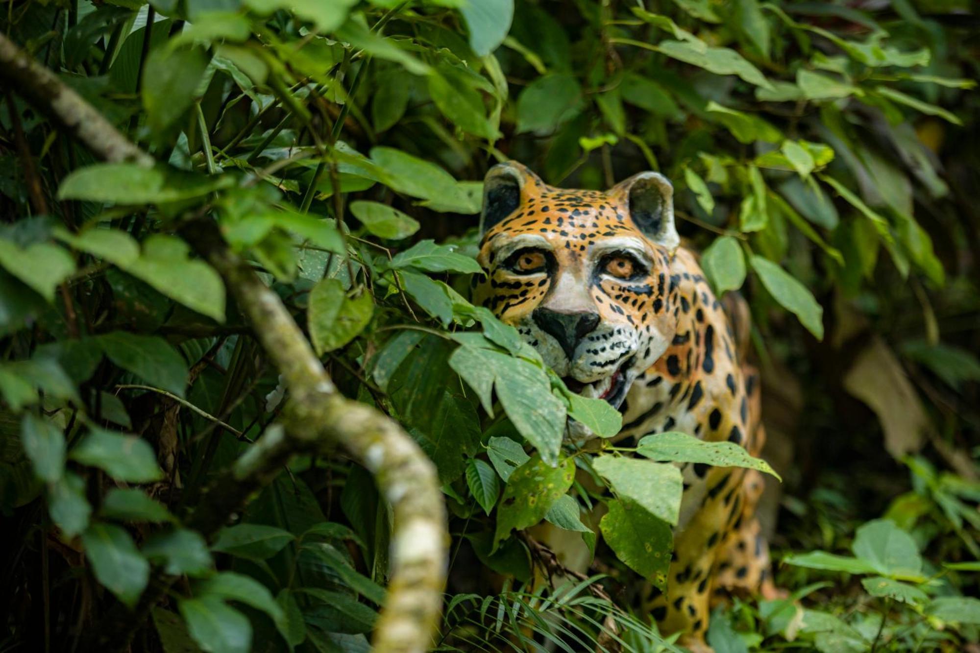 K'Erenda Homet Reserva Natural Puerto Maldonado Exterior foto