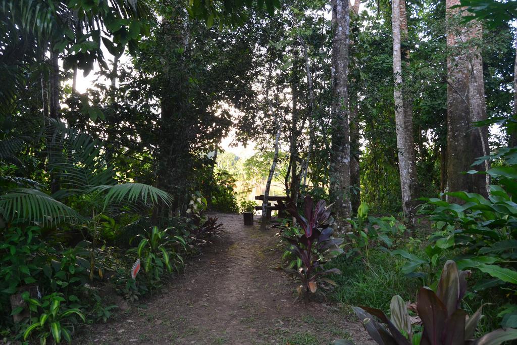 K'Erenda Homet Reserva Natural Puerto Maldonado Habitación foto